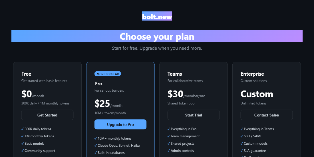 Bolt.new pricing page showing Free, Pro at 25 dollars per month, Teams at 30 dollars per member, and Enterprise plans